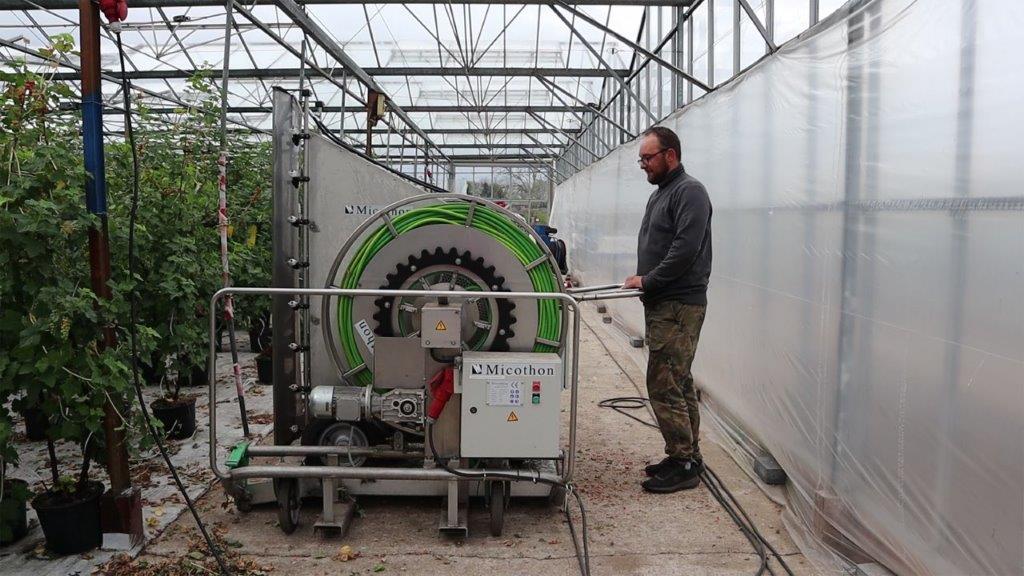 Micothon Berry for berry crop protection