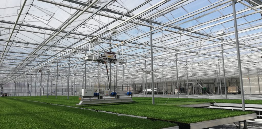 Sustainable Greenhous Crop Protection using Micothon Vacuum Cleaner for extraction of flying insects.
